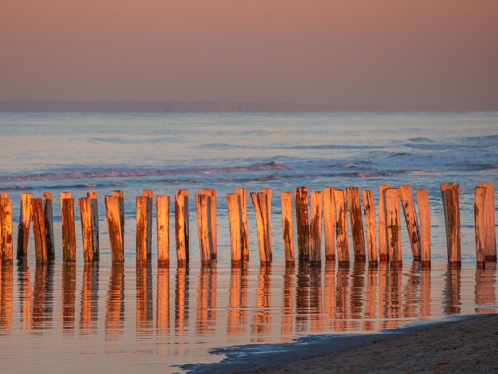 wooden pillar, breakwater, bollard, wooden posts, weathered, beach, evening atmosphere, north sea, nature, landscape, sand, post